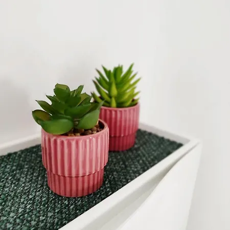 Flair 'fachwerk & Flair' - Altstadt-apartment 78 Qm Fuer Urlaub Oder Geschaeftsreise, Innenstadtlage, Ruhig, Modern, 900 M Bahnhof, 24 Std Check-in, Wlan, Streaming, Kueche, Regendusche, 2 X Doppelbett, Direkt Am Neuen Markt In Der Altstad Apartament