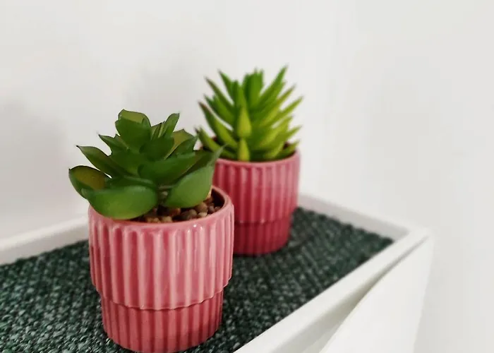 Flair 'fachwerk & Flair' - Altstadt-apartment 78 Qm Fuer Urlaub Oder Geschaeftsreise, Innenstadtlage, Ruhig, Modern, 900 M Bahnhof, 24 Std Check-in, Wlan, Streaming, Kueche, Regendusche, 2 X Doppelbett, Direkt Am Neuen Markt In Der Altstad Apartamento