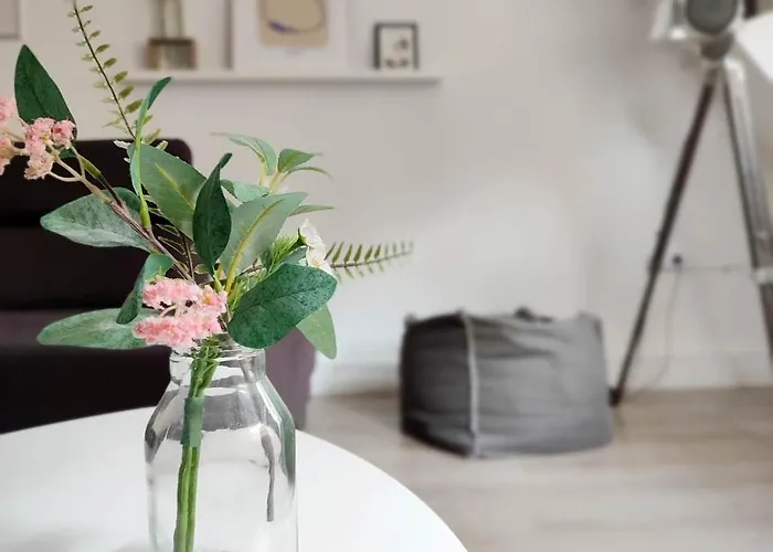 Flair 'fachwerk & Flair' - Altstadt-apartment 78 Qm Fuer Urlaub Oder Geschaeftsreise, Innenstadtlage, Ruhig, Modern, 900 M Bahnhof, 24 Std Check-in, Wlan, Streaming, Kueche, Regendusche, 2 X Doppelbett, Direkt Am Neuen Markt In Der Altstad *